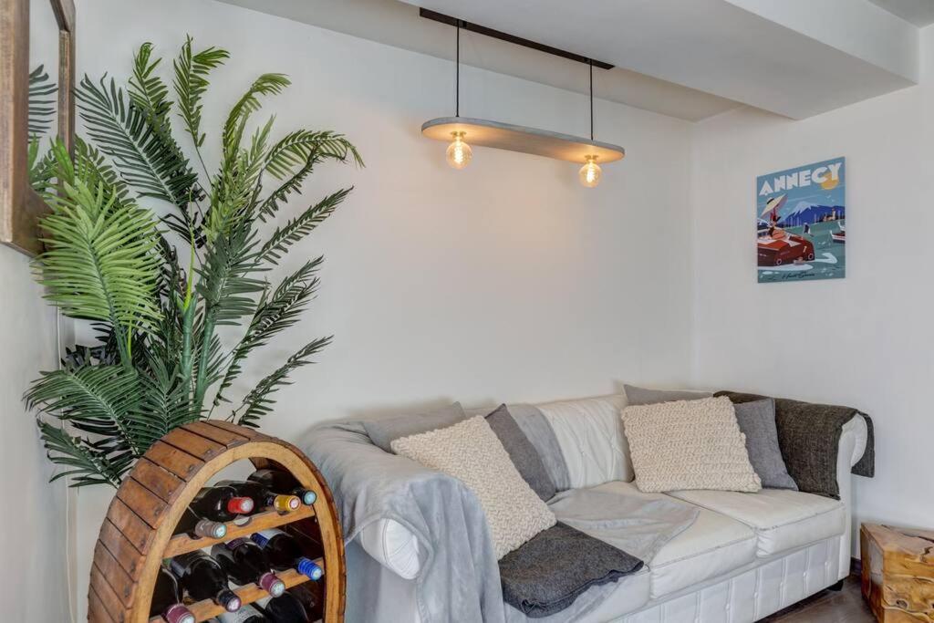 Appartement Le Pura Vida, Hyper Centre Terrasse + Parking à Annecy Extérieur photo